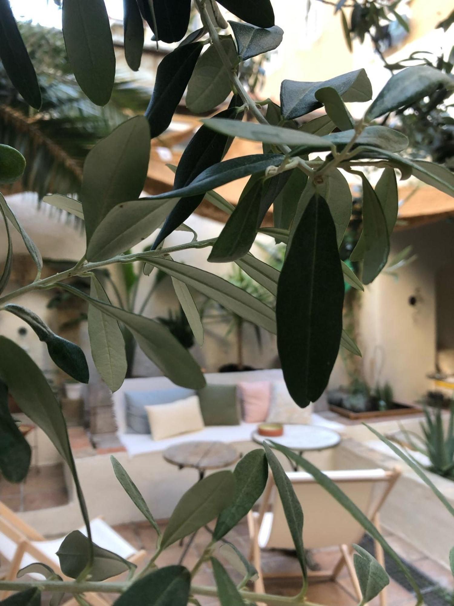 Maison Olea Marseille Luaran gambar