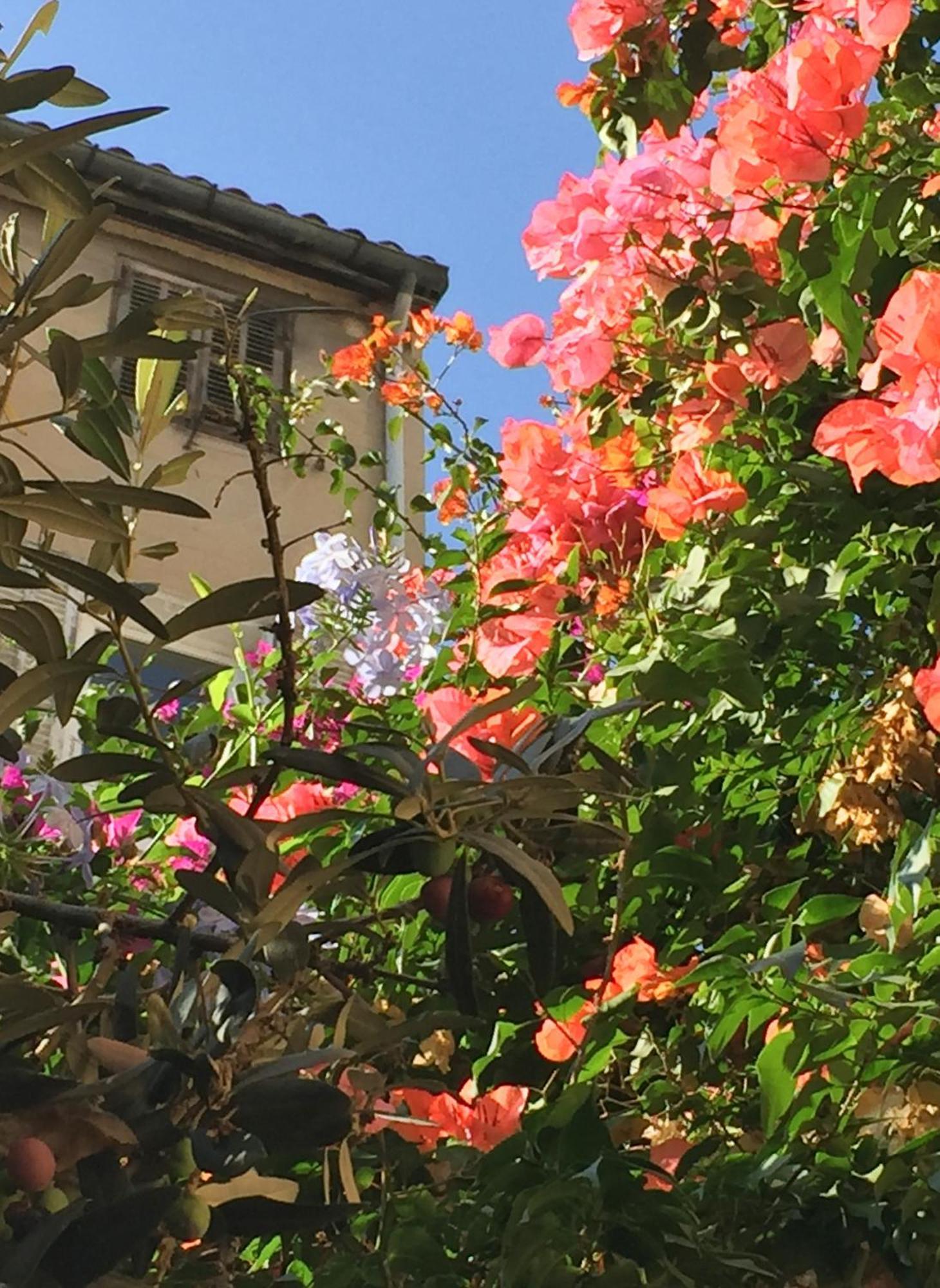 Maison Olea Marseille Luaran gambar